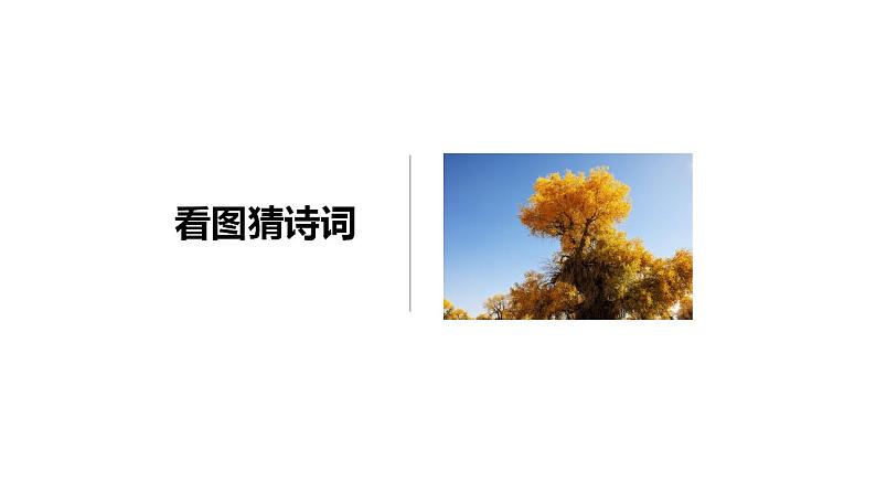 2022-2023学年统编版高中语文必修上册6《芣苢》《插秧歌》联读  课件第1页