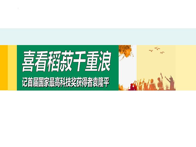 2022-2023学年统编版高中语文必修上册4-1《喜看稻菽千重浪》课件第6页