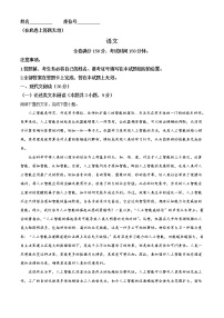 2023安徽省示范高中高三上学期第二次联考语文试题含解析