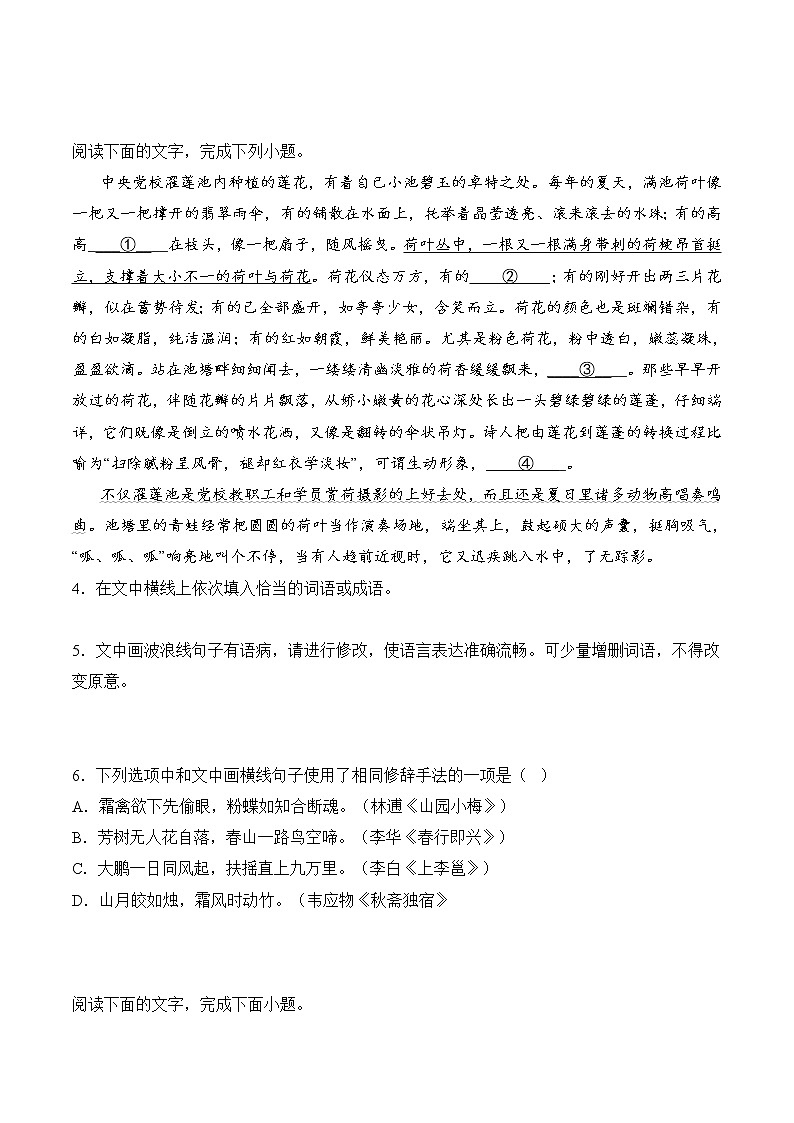 专题06 语言文字运用（过关训练）-2022-2023学年高二语文上学期期中期末考点大串讲（选择性必修上册+中册）原卷版第2页