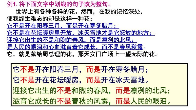 2023届高考语文专题复习：散句与整句变换及其他句式变换 课件第8页