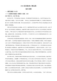 2022六安一中，阜阳一中，合肥八中等校高三上学期联考语文试题含解析