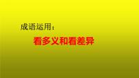 2023届高考语文复习：成语运用之看多义和看差异 课件