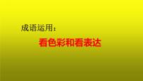 2023届高考语文复习：成语运用之看色彩和看表达 课件