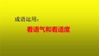 2023届高考语文复习：成语运用之看语气和看适度 课件