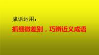 2023届高考语文复习：成语运用之抓细微差别，巧辨近义成语 课件