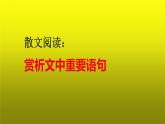 2023届高考语文复习：散文阅读之赏析文中重要语句 课件