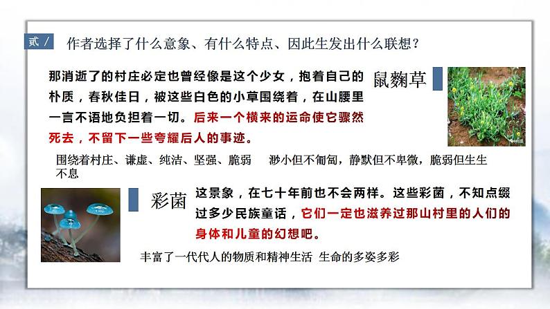 2021-2022学年统编版高中语文选择性必修下册7-1《一个消逝了的山村》课件第4页