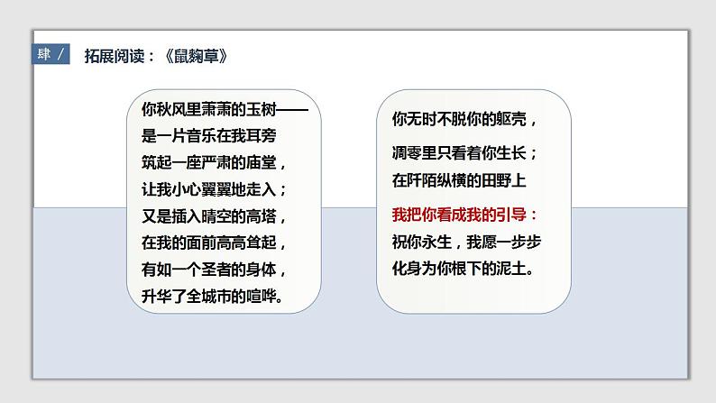 2021-2022学年统编版高中语文选择性必修下册7-1《一个消逝了的山村》课件第7页