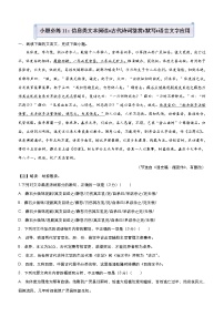 (新高考)高考语文三轮冲刺小题必练11 信息类文本阅读+古代诗词鉴赏+默写+语言文字应用(2份打包，解析版+原卷版)