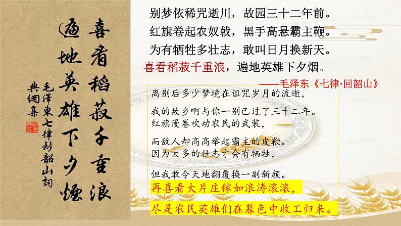 2022-2023学年统编版高中语文必修上册4.1《喜看稻菽千重浪》课件第4页