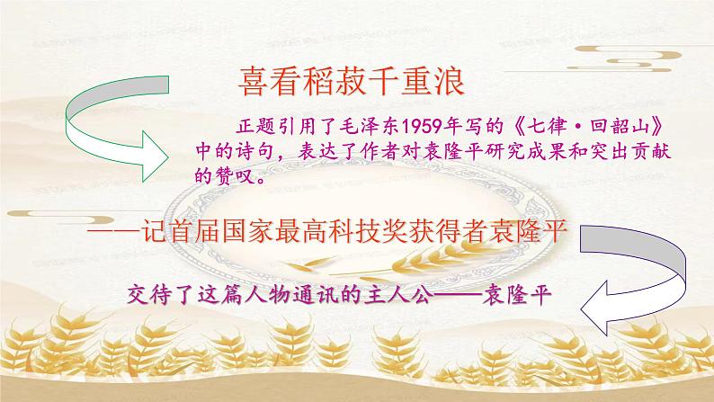 2022-2023学年统编版高中语文必修上册4.1《喜看稻菽千重浪》课件第5页