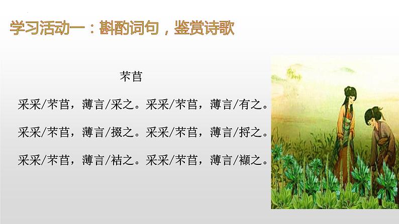 2022-2023学年统编版高中语文必修上册6.1《芣苢》课件第4页