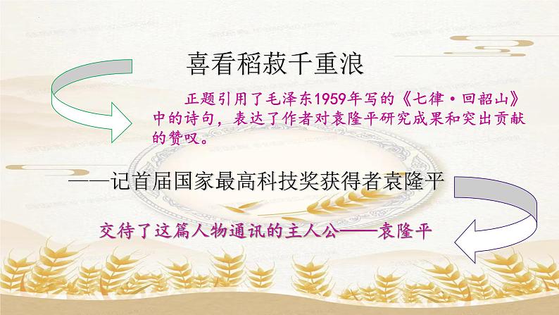 2022-2023学年统编版高中语文必修上册4.1《喜看稻菽千重浪》课件05