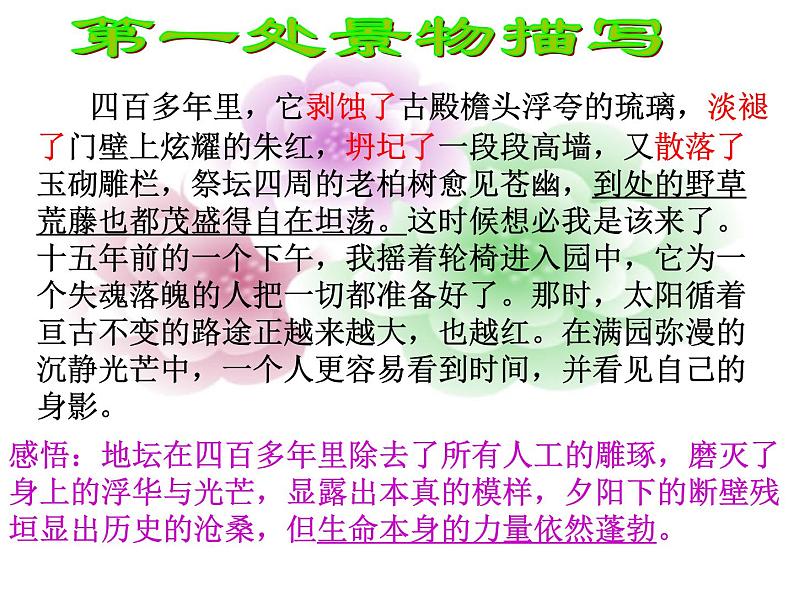 2022—2023学年统编版高中语文必修上册15《我与地坛》课件第8页