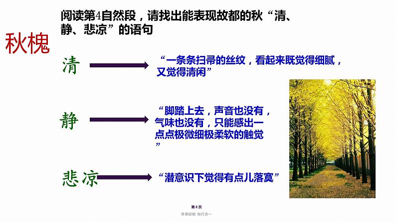 2022-2023学年统编版高中语文必修上册14.1《故都的秋》课件第8页