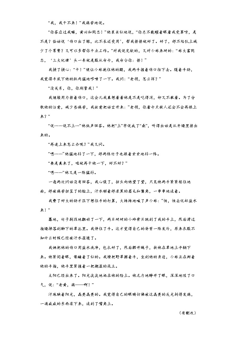 【五年高考真题】最新五年语文高考真题分项汇编——专题02《文学类文本阅读》（2023全国卷地区通用）02