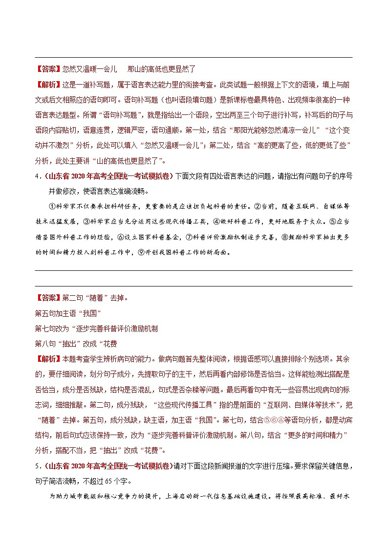 高考语文三轮冲刺复习热点04 新高考·语言文字运用（解析版）第3页