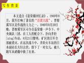 2022-2023学年统编版高中语文选择性必修上册2.2《大战中的插曲》课件