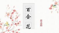 高中人教统编版3.1 百合花说课ppt课件