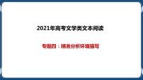 高考语文一轮 文学类文本阅读专题四：精准分析概括形象 课件+试卷