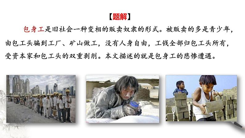 2022—2023学年统编版高中语文选择性必修中册7《包身工》课件第5页