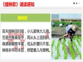 2022-2023学年统编版高中语文必修上册6.2《插秧歌》课件