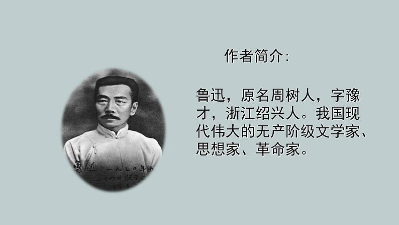 统编版必修下册 12 祝福 课件第2页