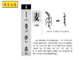 6.2《文氏外孙入村收麦》课件   统编版高中语文必修上册