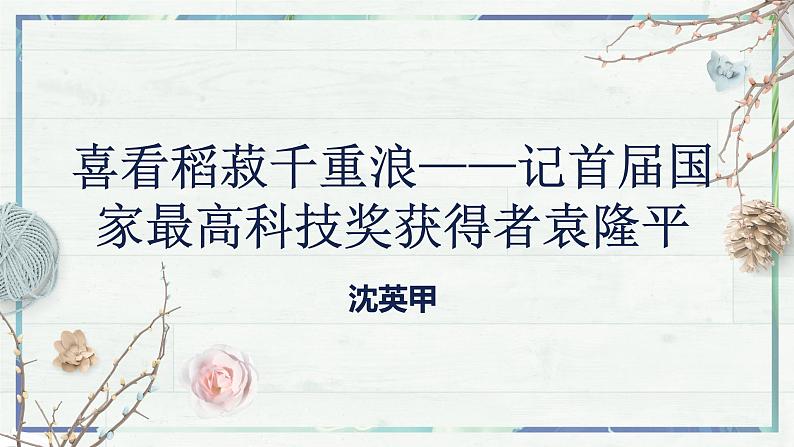 《喜看稻菽千重浪——记首届国家最高科技奖获得者袁隆平》（课件）-高一语文同步精品课堂(统编版必修上册)02