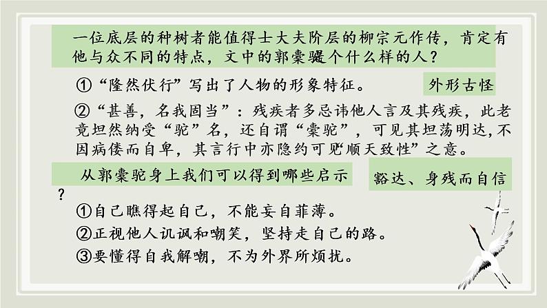 统编版高中语文选择性必修下册第三单元11.《种树郭橐驼传》 课件08