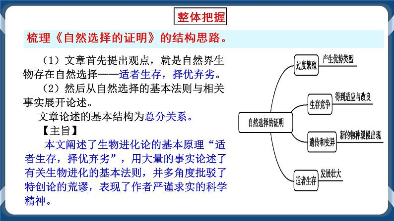 统编版高中语文选择性必修下册13-1《自然选择的证明》课件06