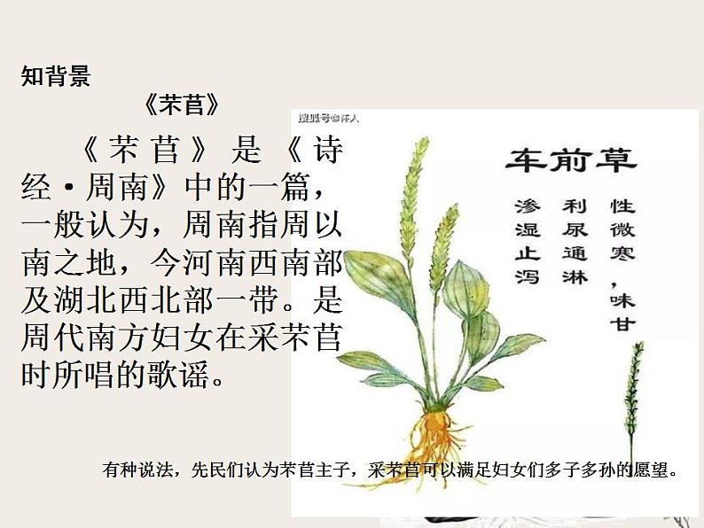 2022-2023学年统编版高中语文必修上册6.1《芣苢》课件第6页