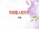 2022-2023学年统编版高中语文选择性必修中册4.2《怜悯是人的天性》课件