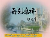 6.2《再别康桥》2021-2022学年高二语文下学期同步精品课件（统编版选择性必修下册）