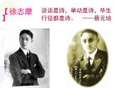 6.2《再别康桥》2021-2022学年高二语文下学期同步精品课件（统编版选择性必修下册）