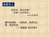 2.《孔雀东南飞》-2021-2022学年高二语文下学期同步精品课件（统编版选择性必修下册）