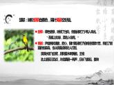 2021-2022学年高中语文统编版选择性必修下册3-2《蜀相》课件