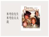 2022-2023学年统编版高中语文选择性必修上册8大卫·科波菲尔课件