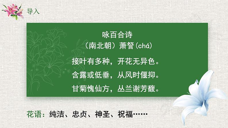 统编版必修上册 3.1 百合花 课件01