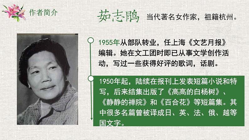 统编版必修上册 3.1 百合花 课件04