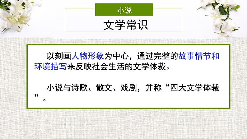 统编版必修上册 3.1 百合花 课件07