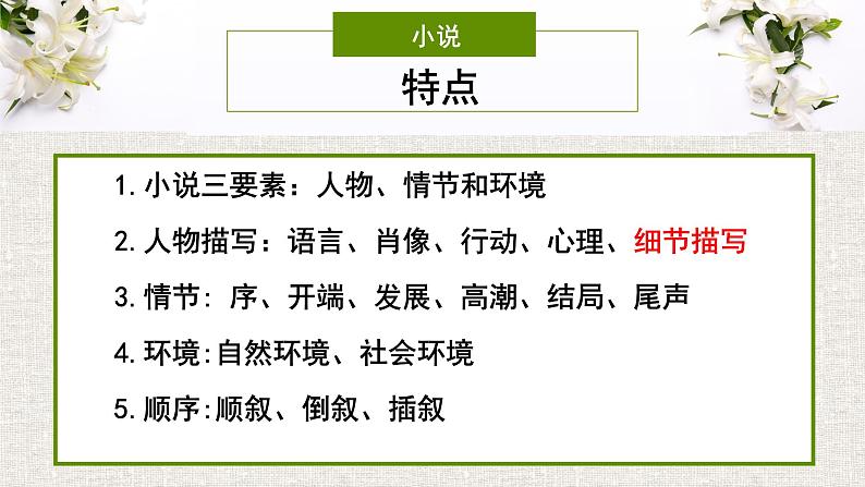 统编版必修上册 3.1 百合花 课件08