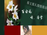 统编版必修上册第一单元3《百合花》《哦，香雪》群文联读课件