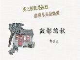 2022-2023学年统编版高中语文必修上册14-1《故都的秋》课件