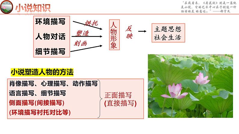 2022-2023学年统编版高中语文选择性必修中册8-1《荷花淀》课件第6页