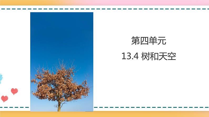 13.4 树和天空 课件 +教案01