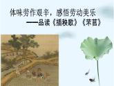 6《芣苢》《插秧歌》课件