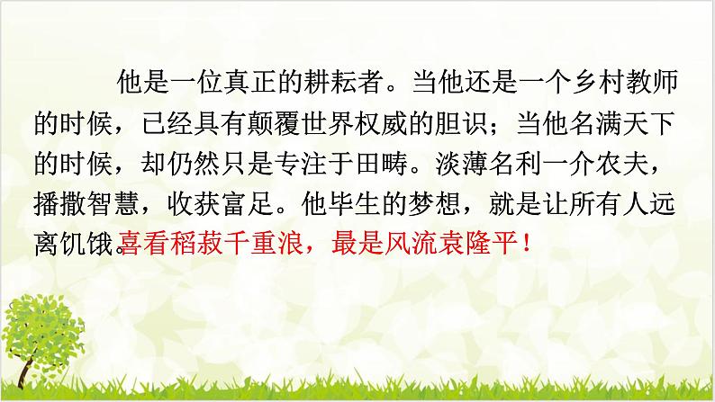 4.1 喜看稻菽千重浪 课件第1页
