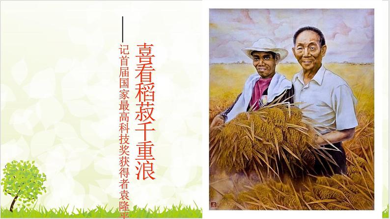 4.1 喜看稻菽千重浪 课件第2页